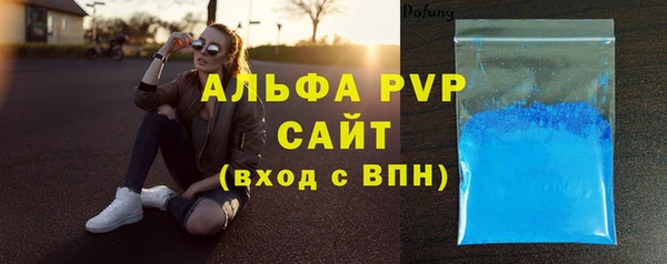 шишки Няндома