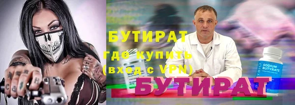 шишки Няндома