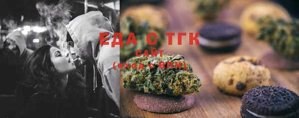 шишки Няндома