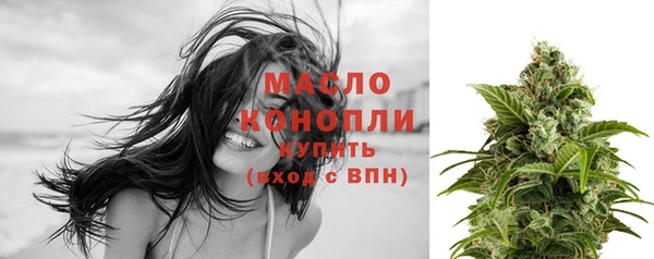 стаф Новокубанск