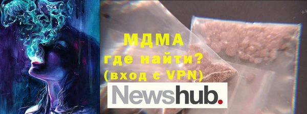 шишки Няндома