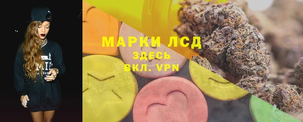 шишки Няндома