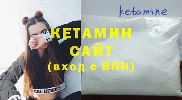 шишки Няндома
