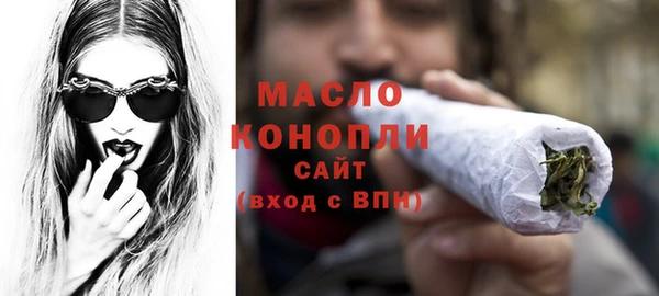шишки Няндома