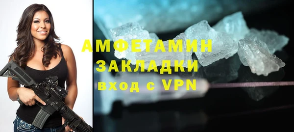 шишки Няндома