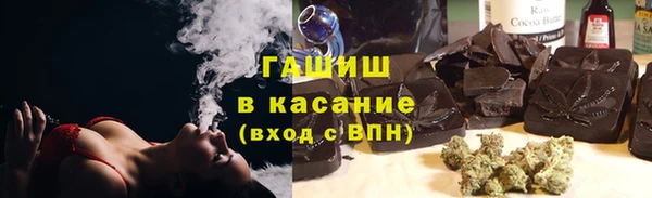 шишки Няндома
