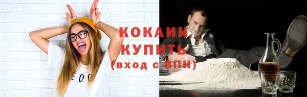 шишки Няндома