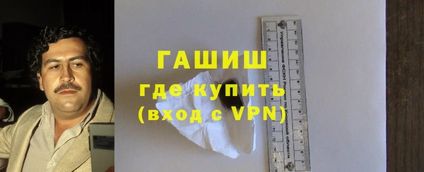 шишки Няндома