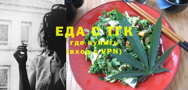 шишки Няндома
