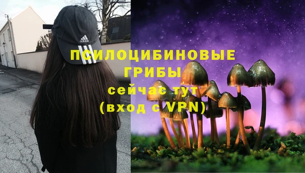 мяу мяу кристалл Нягань