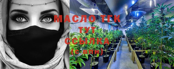шишки Няндома