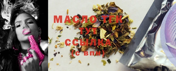 шишки Няндома
