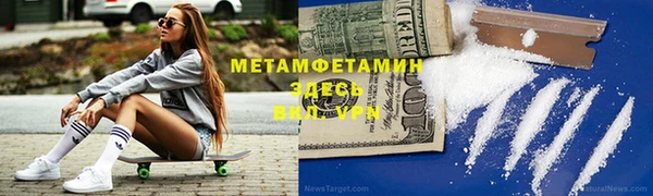 шишки Няндома
