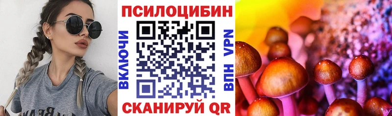 сколько стоит  Красный Холм  Галлюциногенные грибы MAGIC MUSHROOMS 